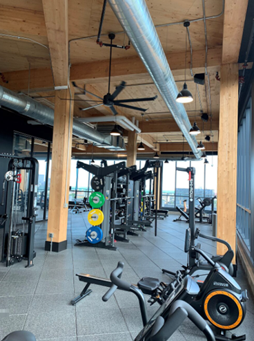 Engineered wood beams