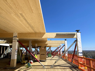 Structural solid wood columns